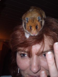 P3140048.jpg P3140048.jpg