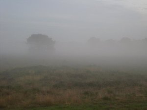 SL370576.jpg SL370576.jpg