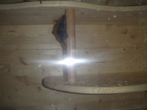 FarbmÃ¤use08.08 032.jpg