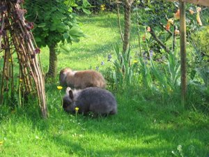 Kopie von IMG_5647.jpg