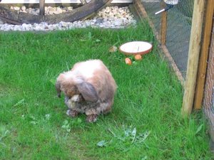 Kopie von IMG_5656.jpg