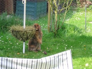 Kopie von IMG_5684.jpg