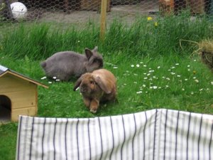 Kopie von IMG_5685.jpg