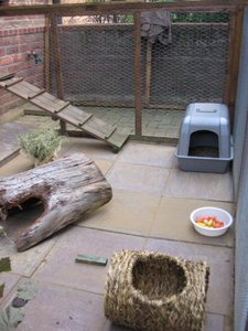 Kopie von IMG_5696.jpg