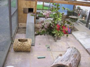 Kopie von IMG_5697.jpg