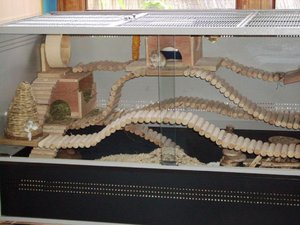 Oben ist das beste PlÃ¤tzchen.jpg