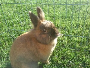 Tinas Handy-Bilder 639.jpg