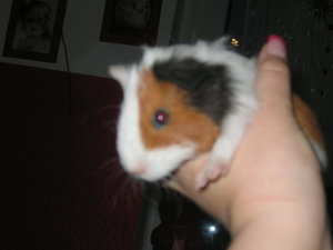 IMG_0081.jpg IMG_0081.jpg