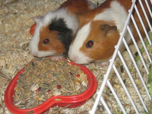 IMG_0098.jpg IMG_0098.jpg