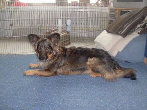 HPIM1434.jpg HPIM1434.jpg