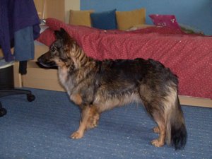 HPIM1435.jpg HPIM1435.jpg