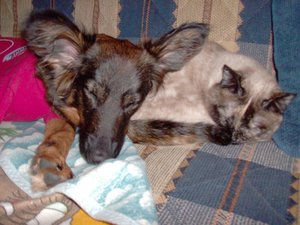 HPIM0085.jpg HPIM0085.jpg