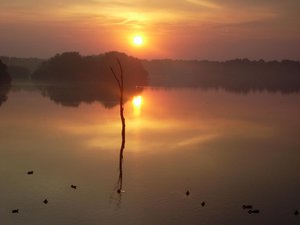 SL370571.jpg SL370571.jpg