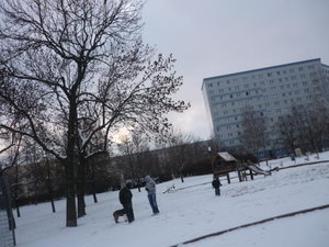 01.02.2009 (126).JPG