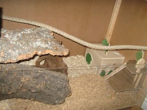 Bilder regal 003.jpg