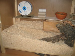 Bilder regal 005.jpg