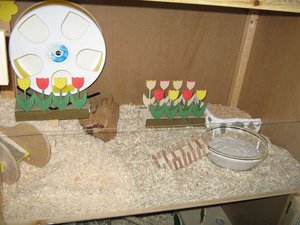 Bilder regal 007.jpg