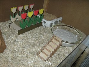 Bilder regal 008.jpg