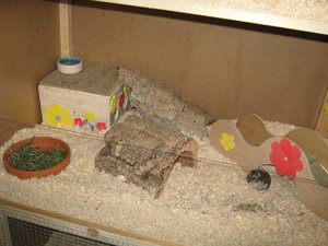 Bilder regal 009.jpg