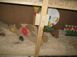 Bilder regal 010.jpg