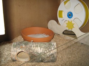 Bilder regal 011.jpg