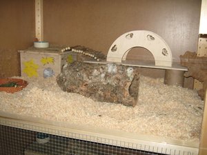 Bilder regal 012.jpg