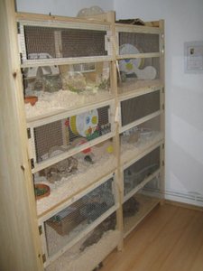 Bilder regal 014.jpg