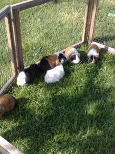 16042009300.jpg 16042009300.jpg