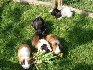 P4160060.jpg P4160060.jpg