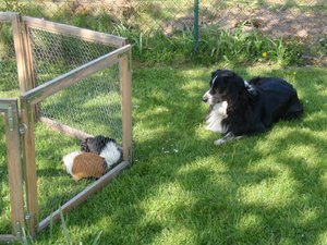 P4160070.jpg P4160070.jpg