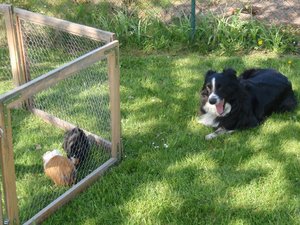 P4160071.jpg P4160071.jpg