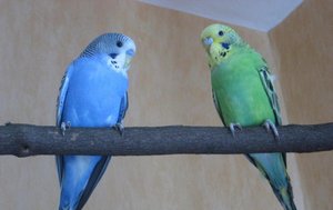 IMG_1405 kleiner.jpg