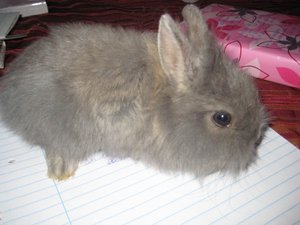 Kopie von IMG_4182.JPG