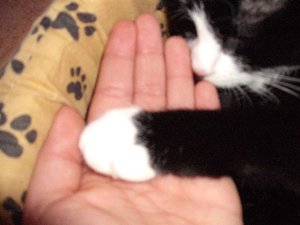 mini-Bilder 031.jpg mini-Bilder 031.jpg