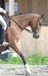 DSCN0860 - Kopie.JPG