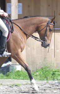 DSCN0860 - Kopie.JPG