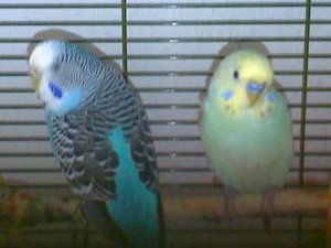 Mausi - Toni 06.09.jpg