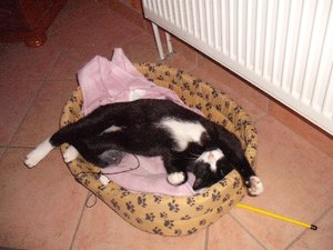 mini-Bilder 074.jpg mini-Bilder 074.jpg