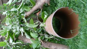 SL370640 (Large).JPG