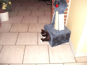 mini-Bilder 016.jpg mini-Bilder 016.jpg