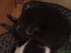 DSC00325_BildgrÃ¶ÃŸe Ã¤ndern.JPG