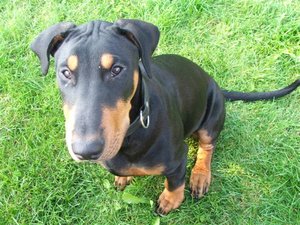 Neugasse-Bilder_10-2008 212.jpg