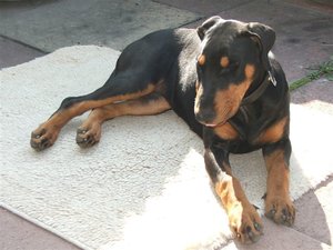 Neugasse-Bilder_10-2008 218.jpg