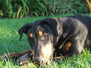 Neugasse-Bilder_10-2008 278.jpg