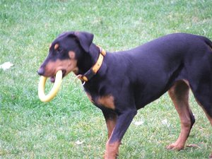 Neugasse-Bilder_11-2008 047.jpg