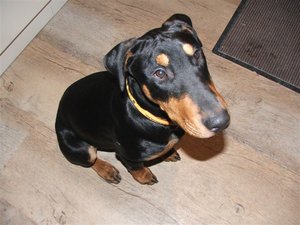 Neugasse-Bilder_11-2008 054.jpg