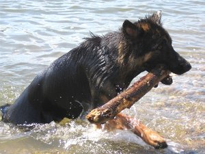 Web Projekt32zoom.jpg