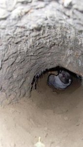 SL370643 (Large).JPG