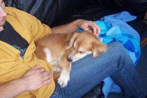 Tobi und Daisy 2.JPG