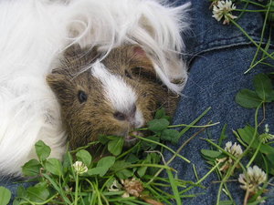 Marie&Tommy (354).JPG